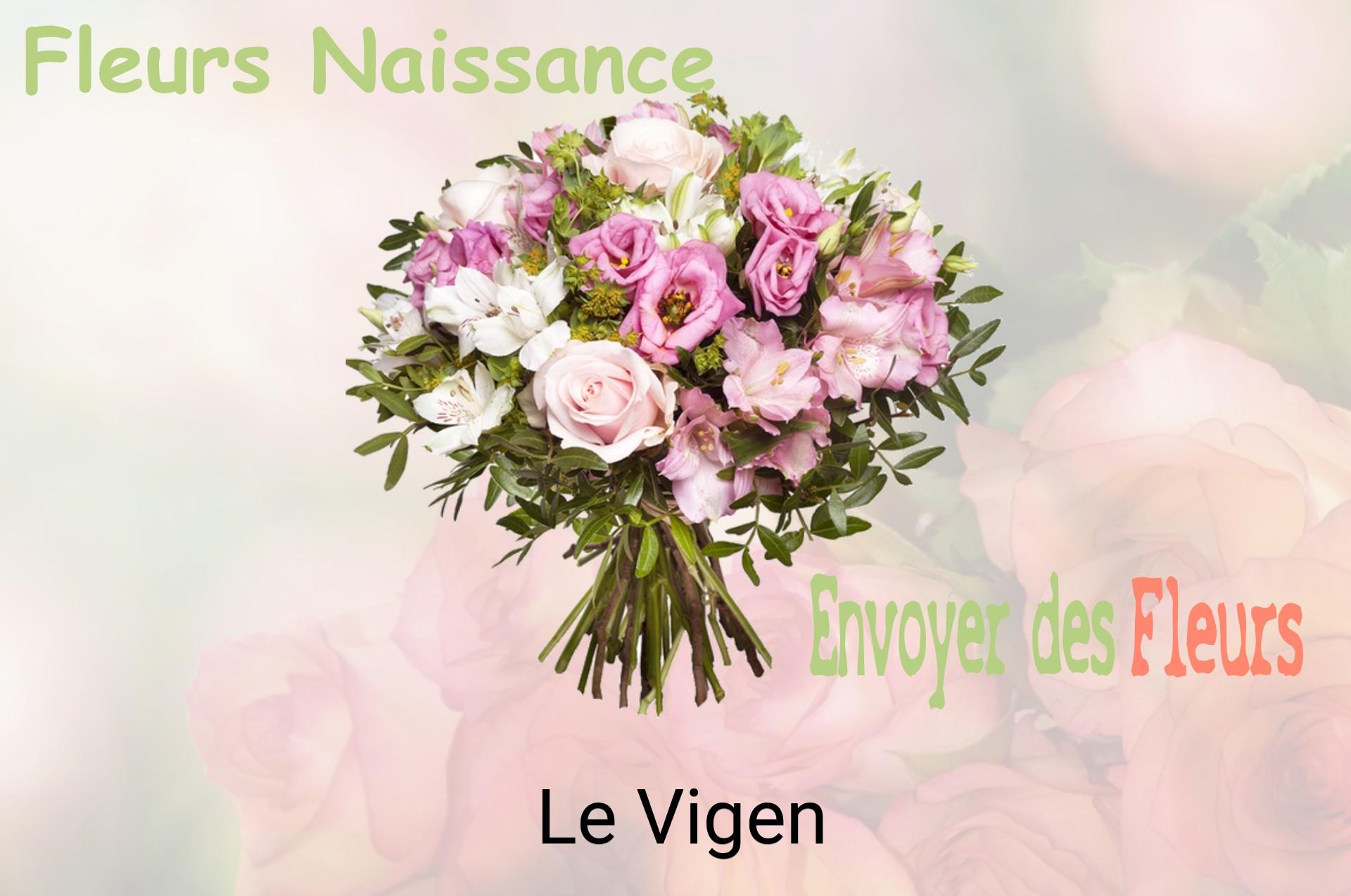 Bouquet de fleurs de naissance livré à Le Vigen